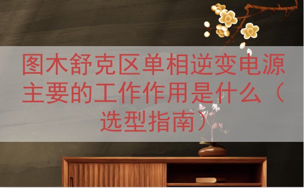 图木舒克区单相逆变电源的工作作用是什么（选型指南）