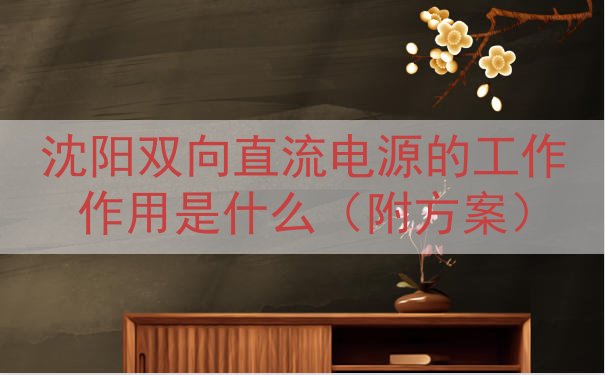 沈阳双向直流电源的工作作用是什么（附方案）